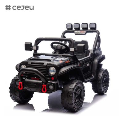 CJ-HP-018SJ 4輪駆動 UTV モデル 良い選択 後部収納スペース 2 スピード 可用 色とりどりの紫 黒ピンク 青 プラスチック車