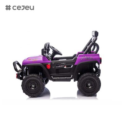 CJ-HP-018SJ 4輪駆動 UTV モデル 良い選択 後部収納スペース 2 スピード 可用 色とりどりの紫 黒ピンク 青 プラスチック車