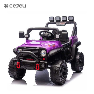 CJ-HP-018SJ 4輪駆動 UTV モデル 良い選択 後部収納スペース 2 スピード 可用 色とりどりの紫 黒ピンク 青 プラスチック車