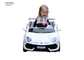 子供によって2は平行振動が付いているおもちゃ車の6V4AH電気乗車が自動車に乗る